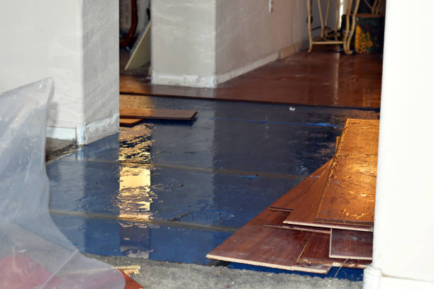 Professional Basement Water Removal technician working in Robbins, NC