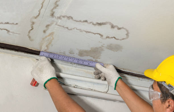 Reliable Basement Water Removal contractor in Robbins, NC by Water Damage Irwin